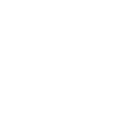 Owasp